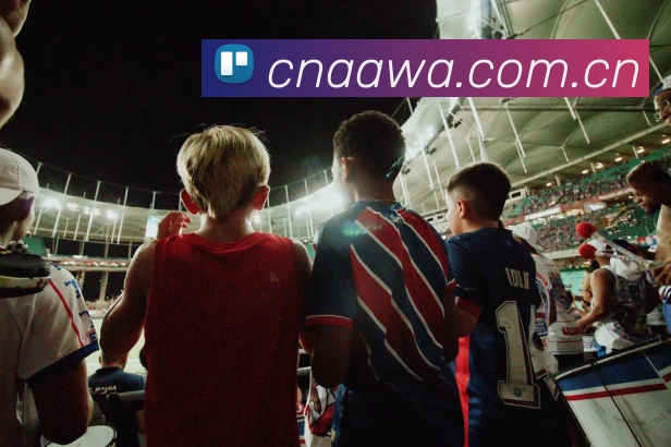 开云官网平台生态图