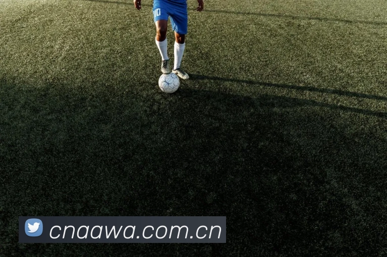 开云官网全站App